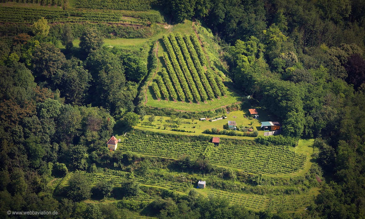 Weingut Riegel am Kaiserstuhl Luftbild