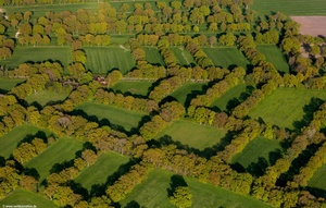 Wallheckenlandschaft  Ostfriesland Luftbild