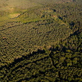 Naturschutzgebiet Dämmerwald Luftbild