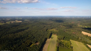 Waldgebiet Hohe Mark  Luftbild